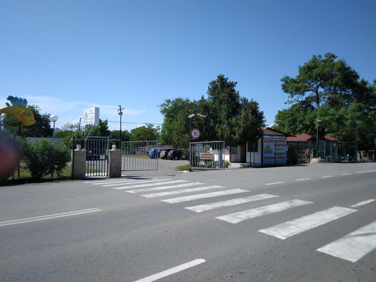 Camping Goldfish Süzebolu Dış mekan fotoğraf