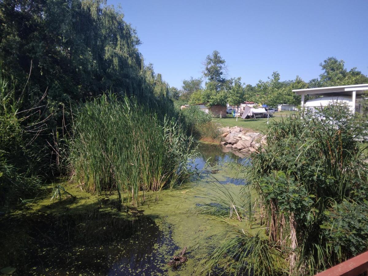 Camping Goldfish Süzebolu Dış mekan fotoğraf